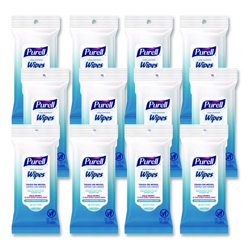 Hand Sanitizing Wipes, Clean Refreshing Scent, White, 20 Wipes/Pack, 12 Packs/Carton
