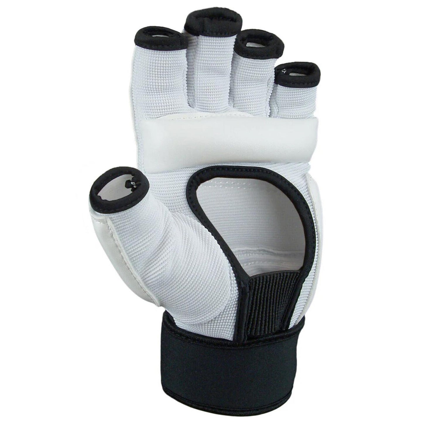 Taekwondo Gloves (WTF Style)