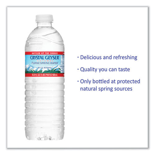 Natural Alpine Spring Water, 16.9 oz Bottle, 24/Carton
