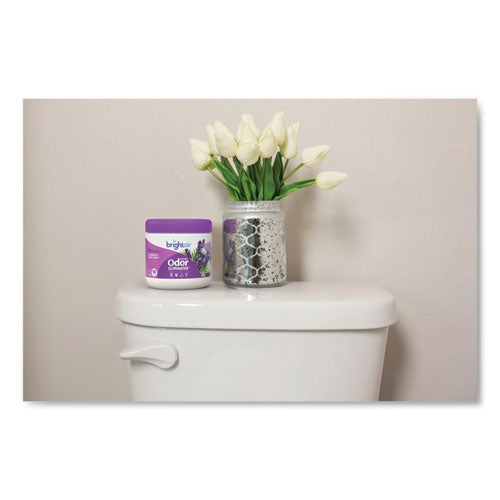 Super Odor Eliminator, Lavender and Fresh Linen, Purple, 14 oz Jar