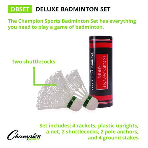 Deluxe Badminton Set, 20 ft Net with 4 Rackets, 2 Shuttlecocks