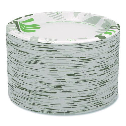 Pathways Soak Proof Shield Heavyweight Paper Plates, WiseSize, 10.13" dia, Green/Burgundy, 500/Carton
