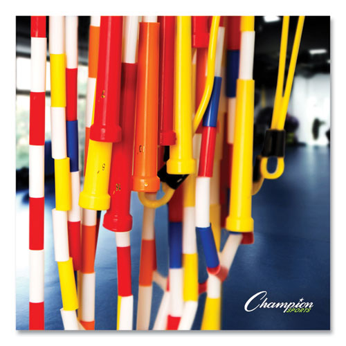 Physical Education Kit with 7 Balls, 14 Jump Ropes, Assorted Colors