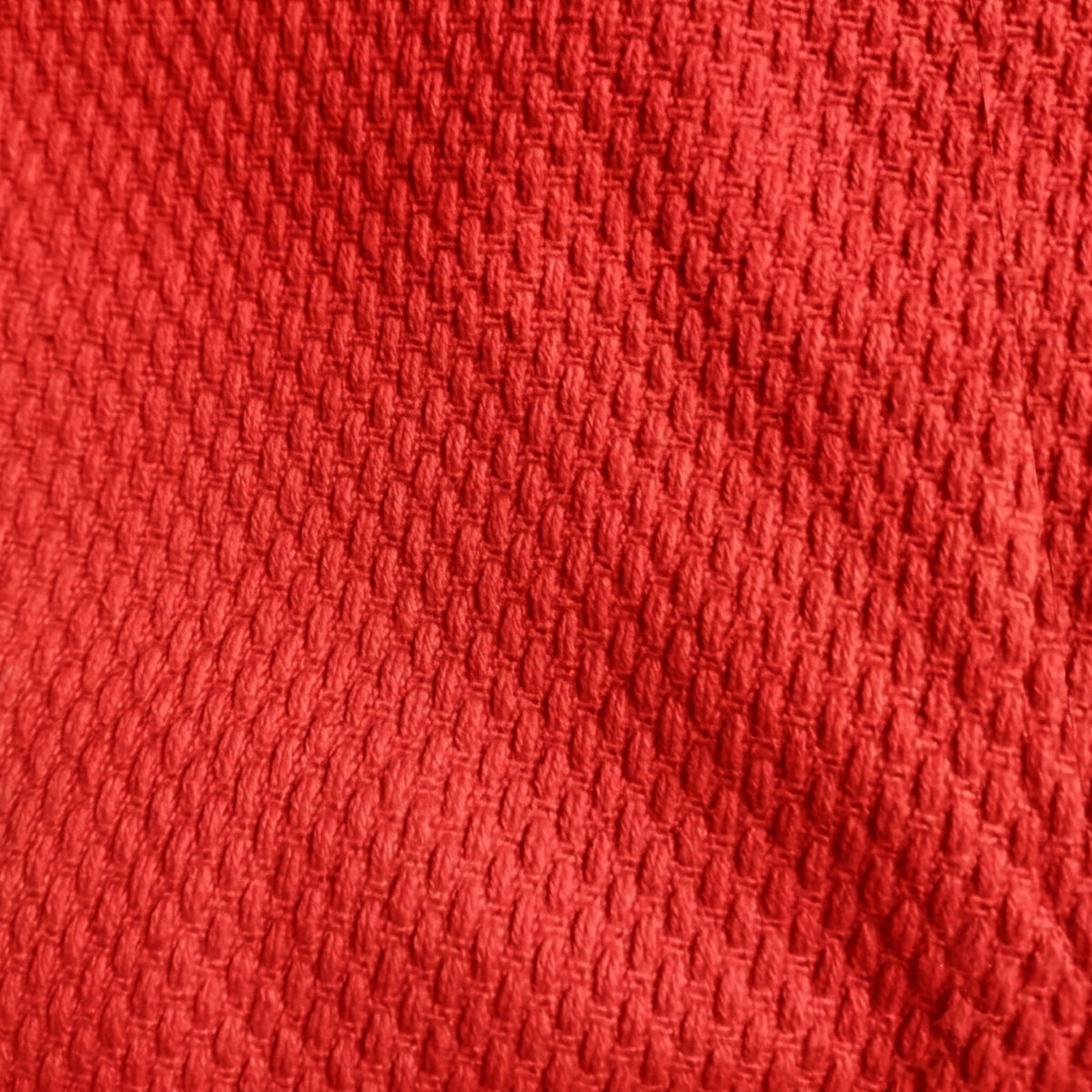 Jaguar Pro Gear Premium Judo Gi – 450 GSM Cotton Grain Weave Uniform for Men, Women & Kids